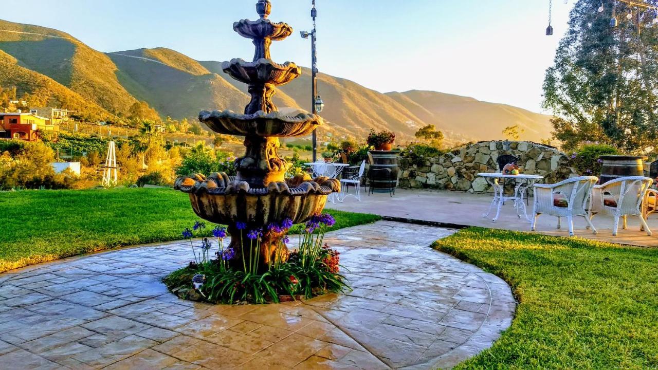 Vina Calabria Bed & Breakfast Valle de Guadalupe Dış mekan fotoğraf