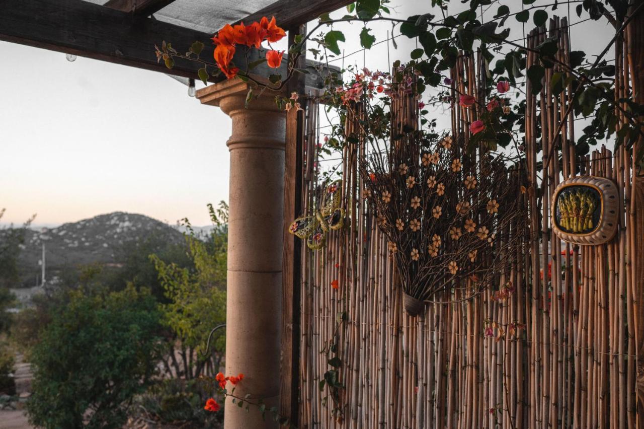 Vina Calabria Bed & Breakfast Valle de Guadalupe Dış mekan fotoğraf