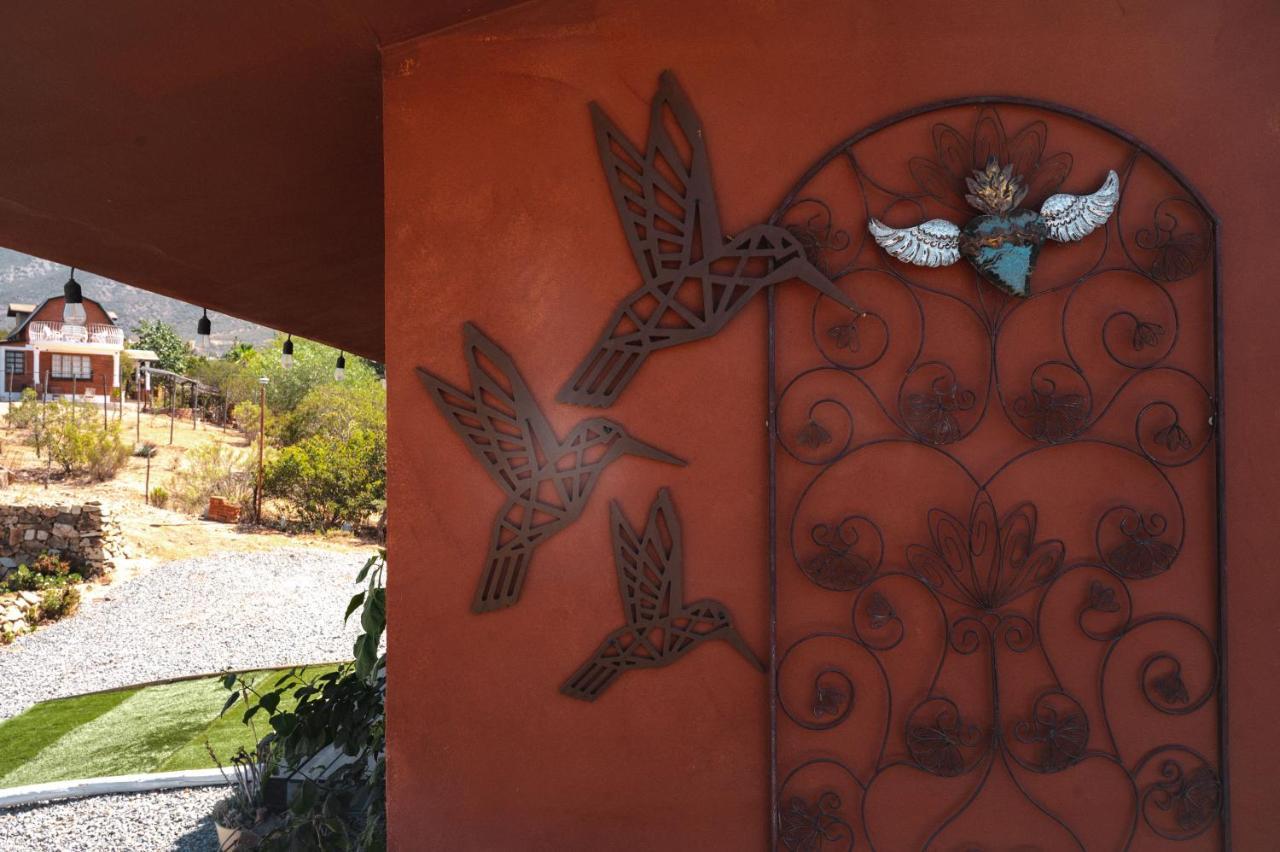 Vina Calabria Bed & Breakfast Valle de Guadalupe Dış mekan fotoğraf
