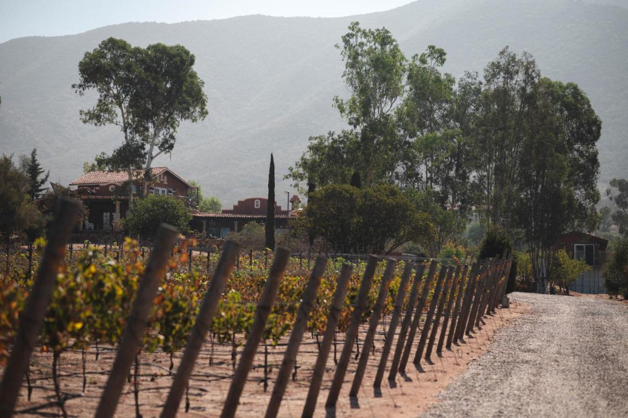 Vina Calabria Bed & Breakfast Valle de Guadalupe Dış mekan fotoğraf
