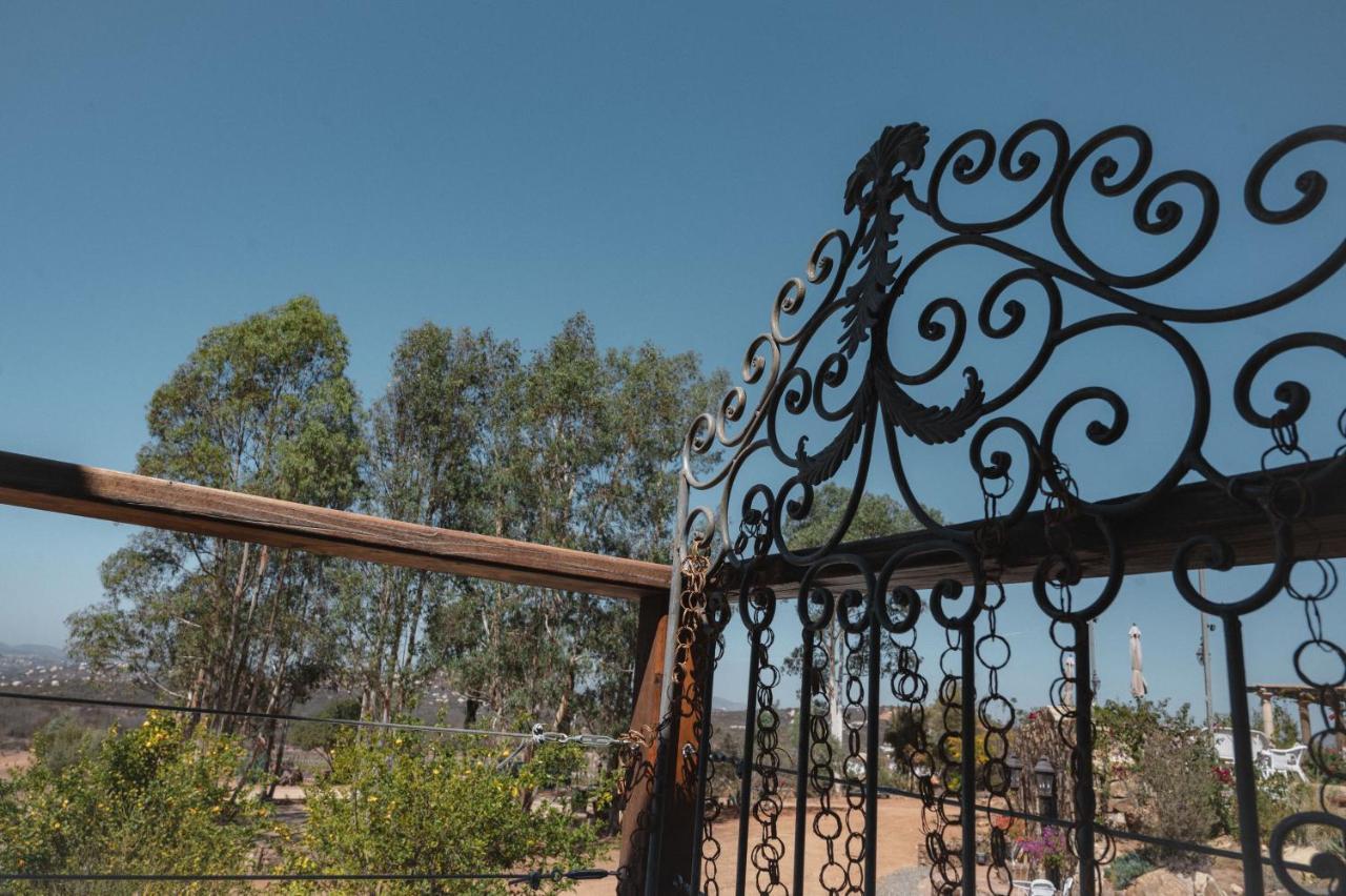 Vina Calabria Bed & Breakfast Valle de Guadalupe Dış mekan fotoğraf