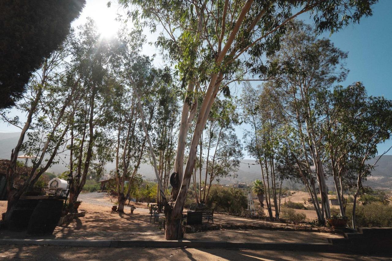 Vina Calabria Bed & Breakfast Valle de Guadalupe Dış mekan fotoğraf