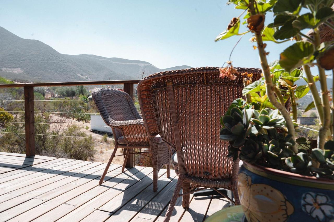 Vina Calabria Bed & Breakfast Valle de Guadalupe Dış mekan fotoğraf