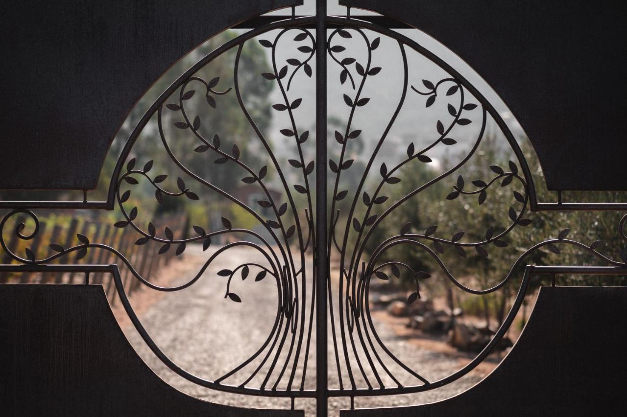 Vina Calabria Bed & Breakfast Valle de Guadalupe Dış mekan fotoğraf
